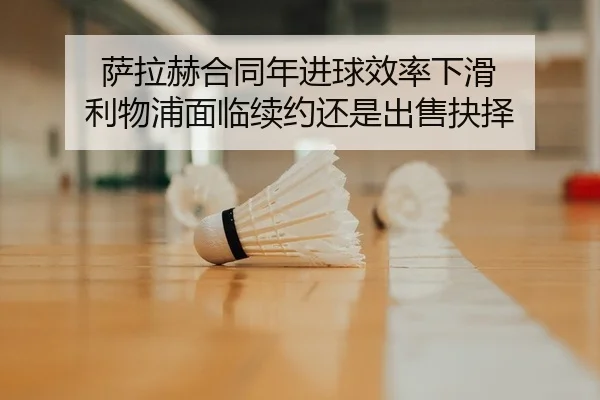 sa-la-he-he-tong-nian-jin-qiu-xiao-lv-xia-hua-li-wu-pu-mian-lin-xu-yue-hai-shi-chu-shou-jue-ze-2-483.jpg